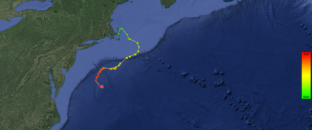 Tracking Marine Species and Biodiversity Hotspots to Support Ocean Management