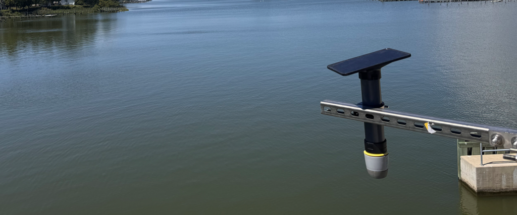 Water Levels, Waves & Webcams (WWW Network)