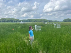 A woman stands in a field of green grass