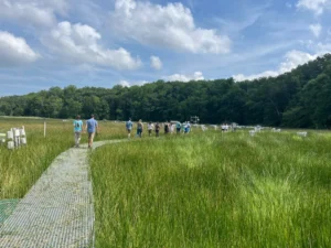 A group of people walk through a field with green grass