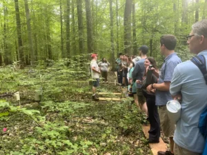 A group of people hike through the woods observing nature