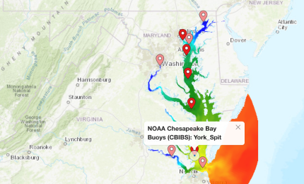 Chesapeake Bay Salinity at Surface vs. Bottom