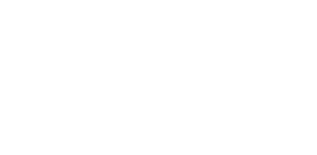 Stevens Institute of Technology