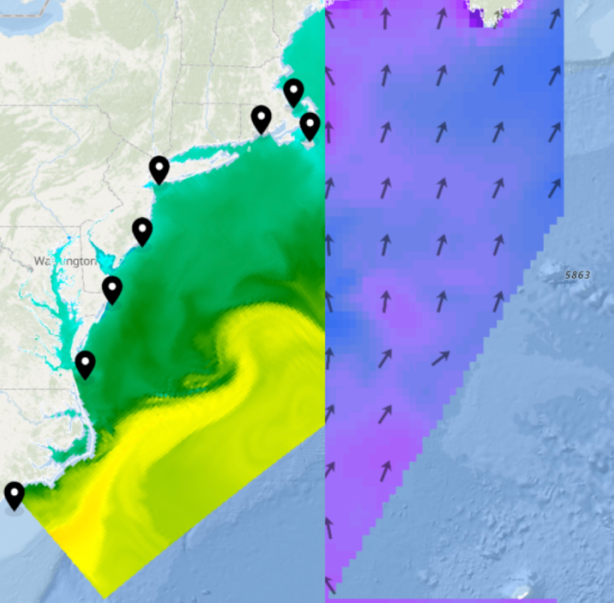 Beachgoers Mid Atlantic Region