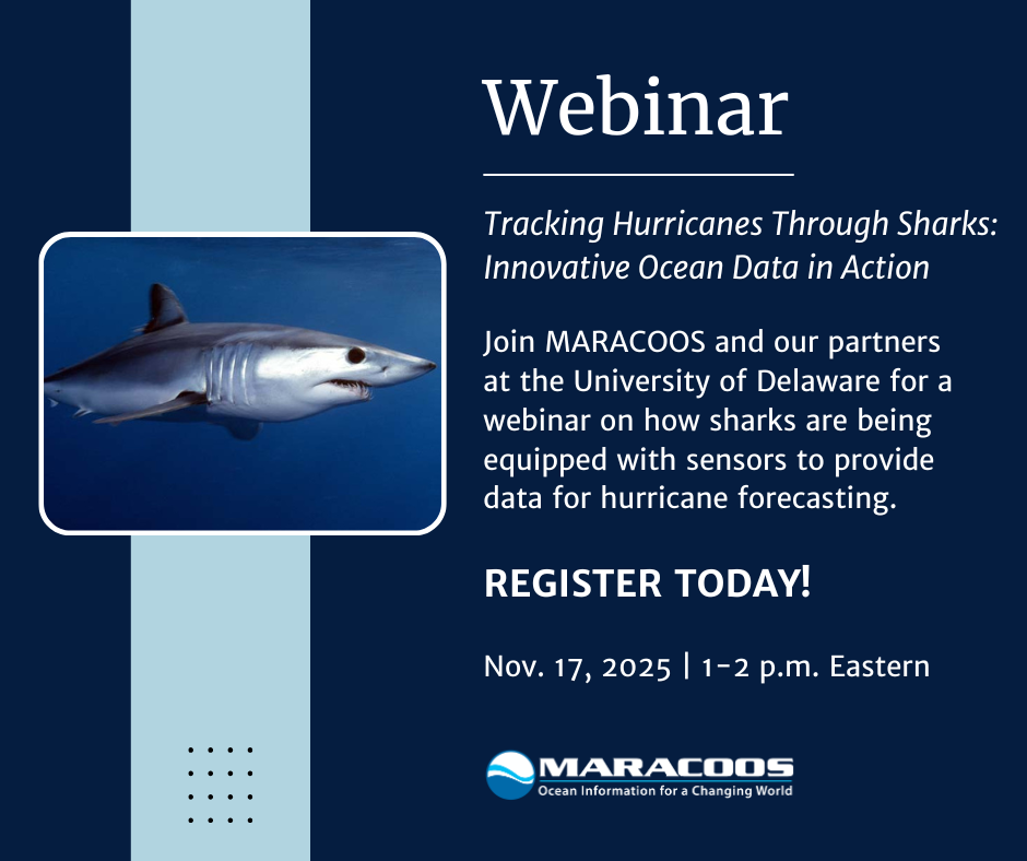 Webinar Recording Available: Tracking Hurricanes Through Sharks: Innovative Ocean Data in Action